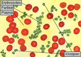 Zeichnung 1